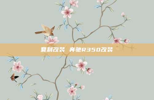夏利改装 奔驰R350改装
