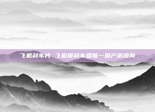 飞机刹车片 飞机碳刹车盘唯一国产供应商