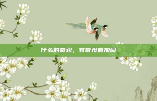 什么的奇观,有奇观前加词