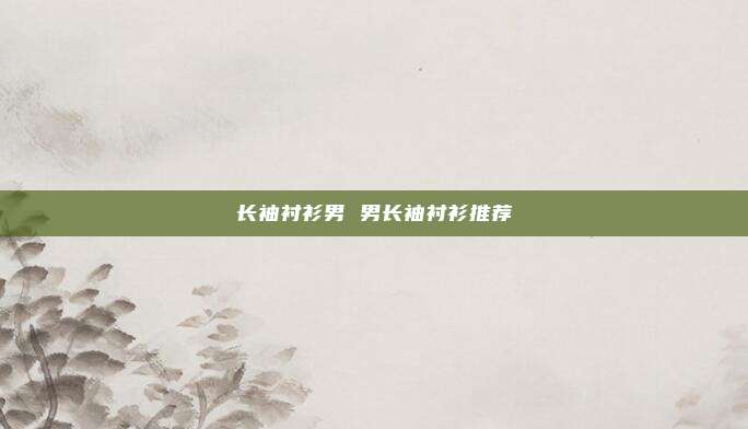 长袖衬衫男 男长袖衬衫推荐