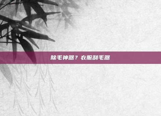 除毛神器?衣服刮毛器