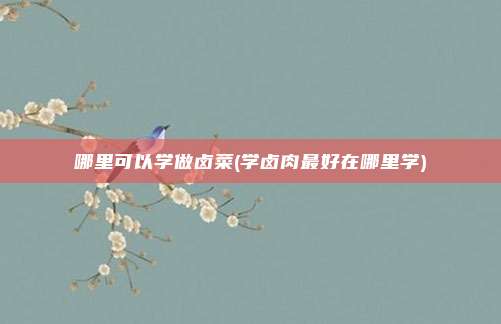 哪里可以学做卤菜(学卤肉最好在哪里学)