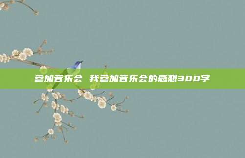 参加音乐会 我参加音乐会的感想300字