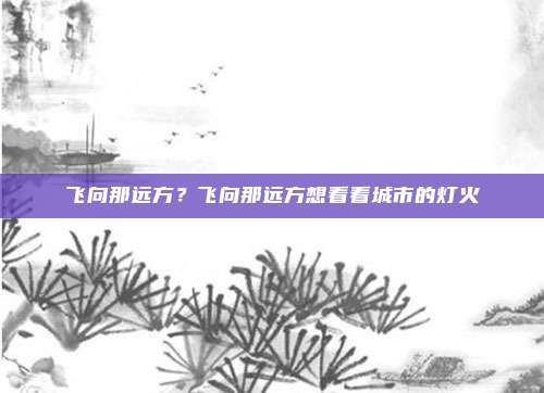 飞向那远方?飞向那远方想看看城市的灯火