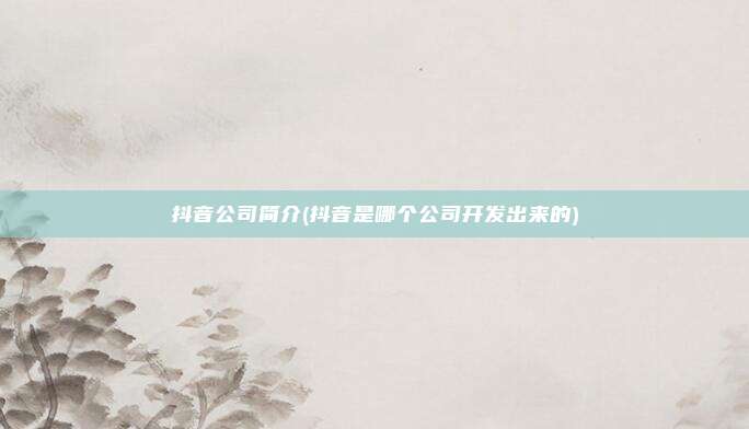 抖音公司简介(抖音是哪个公司开发出来的)