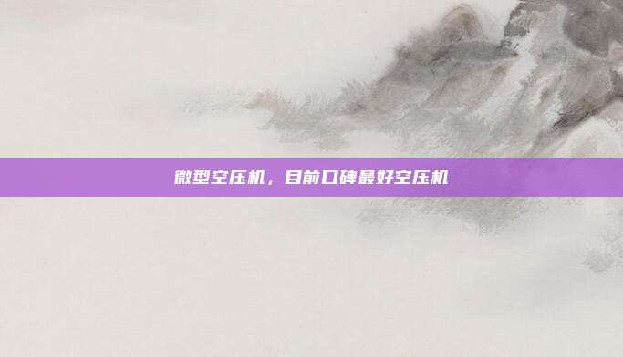 微型空压机,目前口碑最好空压机