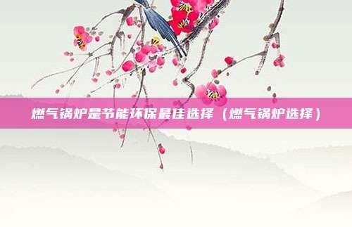 燃气锅炉是节能环保最佳选择（燃气锅炉选择）