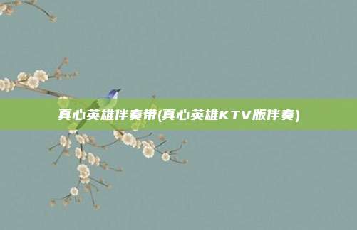 真心英雄伴奏带(真心英雄KTV版伴奏)