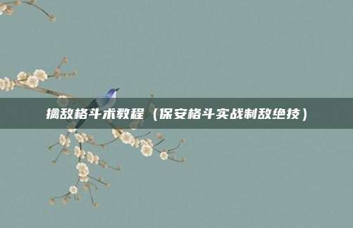 擒敌格斗术教程（保安格斗实战制敌绝技）