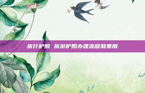 旅行护照 旅游护照办理流程和费用