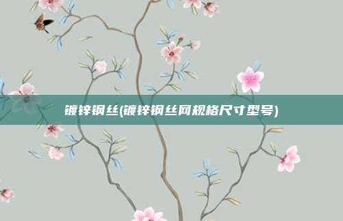 镀锌钢丝(镀锌钢丝网规格尺寸型号)