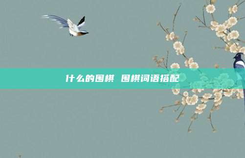 什么的围棋 围棋词语搭配