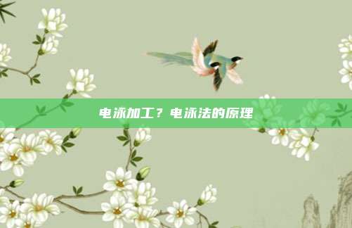 电泳加工？电泳法的原理