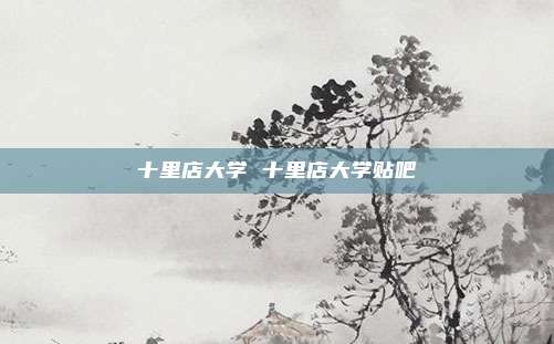 十里店大学 十里店大学贴吧