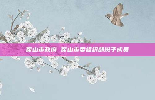 保山市政府 保山市委组织部班子成员