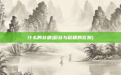 什么的谷穗(稻谷与稻穗的区别)