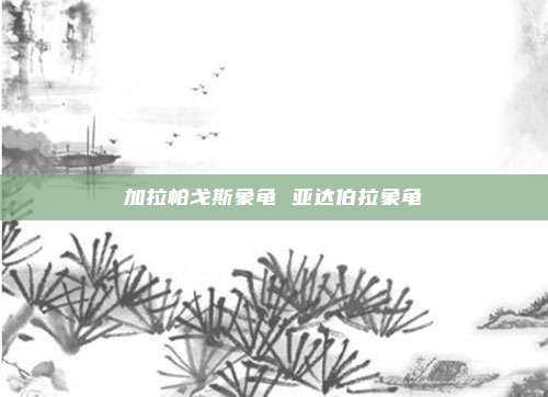加拉帕戈斯象龟 亚达伯拉象龟