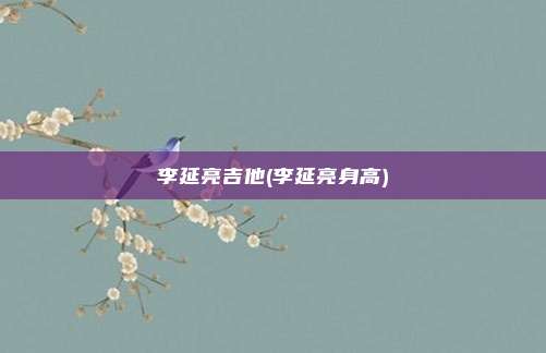 李延亮吉他(李延亮身高)