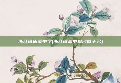 浙江省慈溪中学(浙江省高中排名前十名)