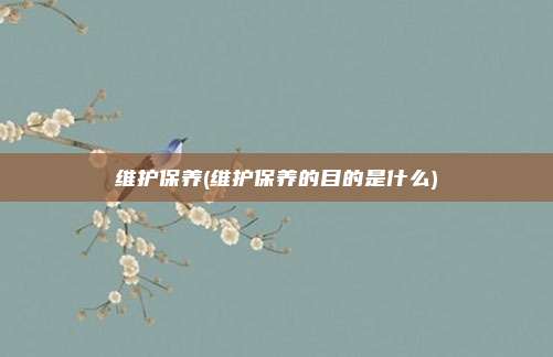 维护保养(维护保养的目的是什么)