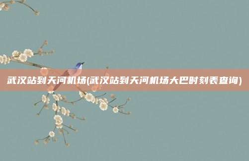 武汉站到天河机场(武汉站到天河机场大巴时刻表查询)