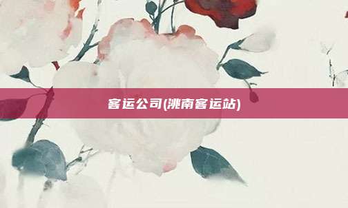 客运公司(洮南客运站)