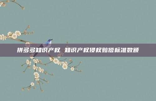 拼多多知识产权 知识产权侵权赔偿标准数额