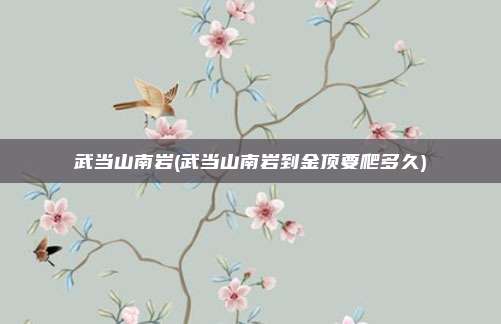 武当山南岩(武当山南岩到金顶要爬多久)