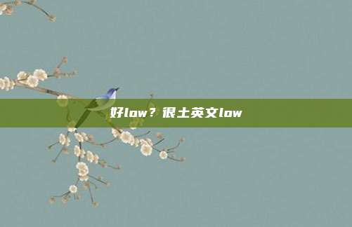 好low？很土英文low