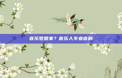 音乐梦想家?音乐人专业音响