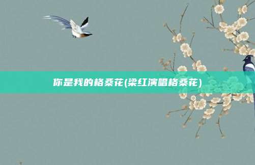 你是我的格桑花(梁红演唱格桑花)