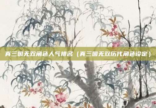 真三国无双角色人气排名(真三国无双历代角色设定)