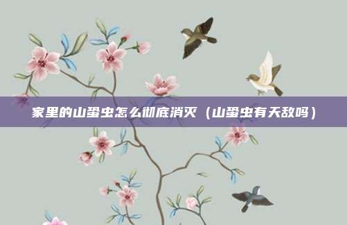 家里的山蛩虫怎么彻底消灭(山蛩虫有天敌吗)