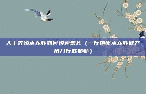 人工养殖小龙虾如何快速增长（一斤抱卵小龙虾能产出几斤成熟虾）
