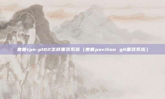 惠普tpn-p102怎样重装系统（惠普pavilion g4重装系统）