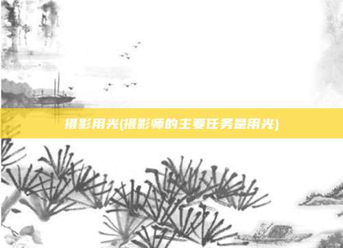 摄影用光(摄影师的主要任务是用光)