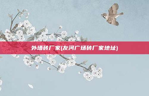 外墙砖厂家(友河广场砖厂家地址)