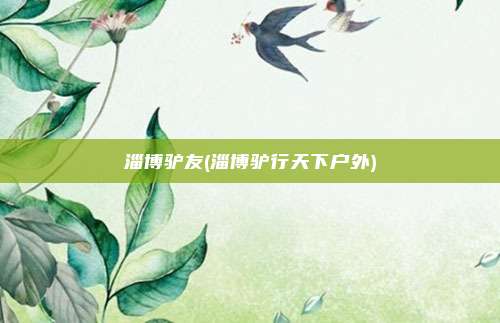 淄博驴友(淄博驴行天下户外)