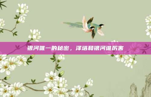 银河唯一的秘密，泽塔和银河谁厉害