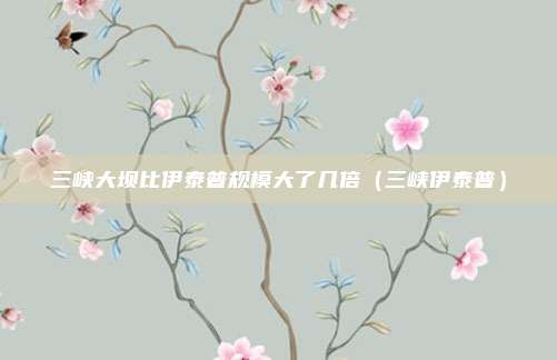 三峡大坝比伊泰普规模大了几倍（三峡伊泰普）