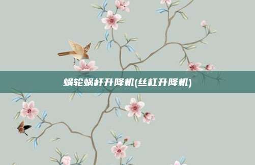 蜗轮蜗杆升降机(丝杠升降机)