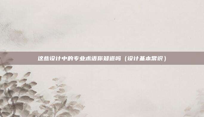 这些设计中的专业术语你知道吗（设计基本常识）
