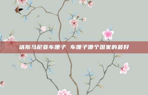塔斯马尼亚车厘子 车厘子哪个国家的最好