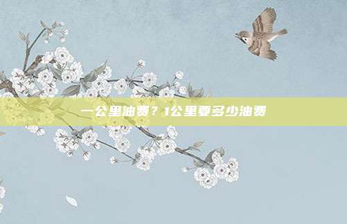 一公里油费？1公里要多少油费