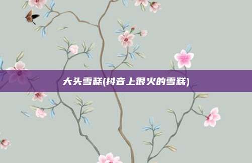 大头雪糕(抖音上很火的雪糕)