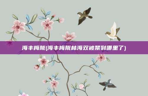 海丰梅陇(海丰梅陇林海双被禁到哪里了)