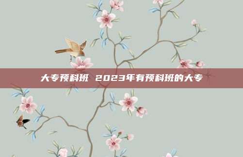 大专预科班 2023年有预科班的大专