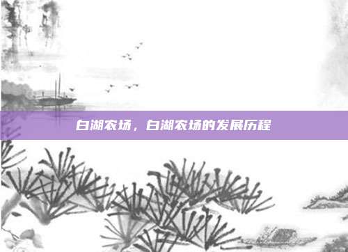 白湖农场，白湖农场的发展历程