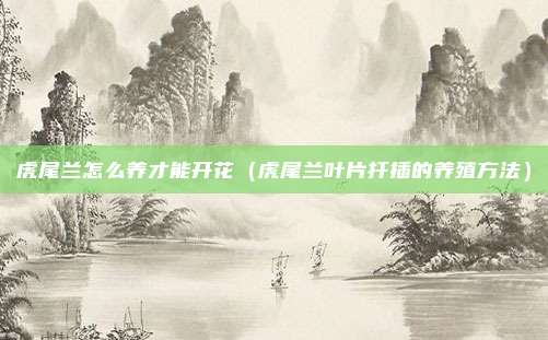 虎尾兰怎么养才能开花（虎尾兰叶片扦插的养殖方法）