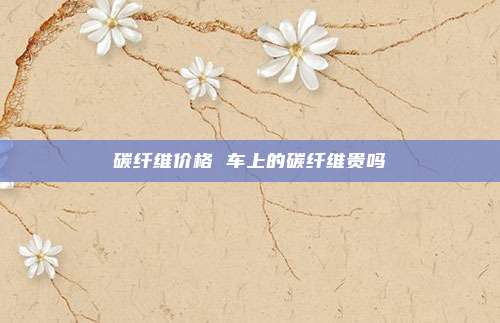 碳纤维价格 车上的碳纤维贵吗